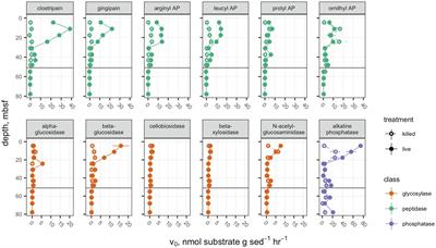 Potential Activities and Long Lifetimes of Organic Carbon-Degrading Extracellular Enzymes in Deep Subsurface Sediments of the Baltic Sea